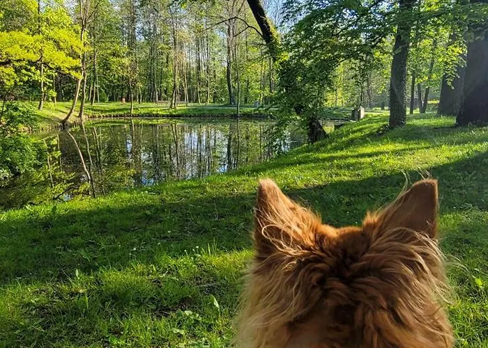 Appartamento Garden *